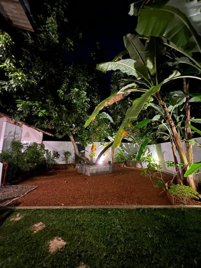 Jungle Villa آهانغاما المظهر الخارجي الصورة